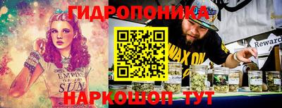 шишки Уссурийск