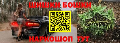 apvp Усть-Илимск