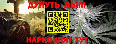 apvp Усть-Илимск