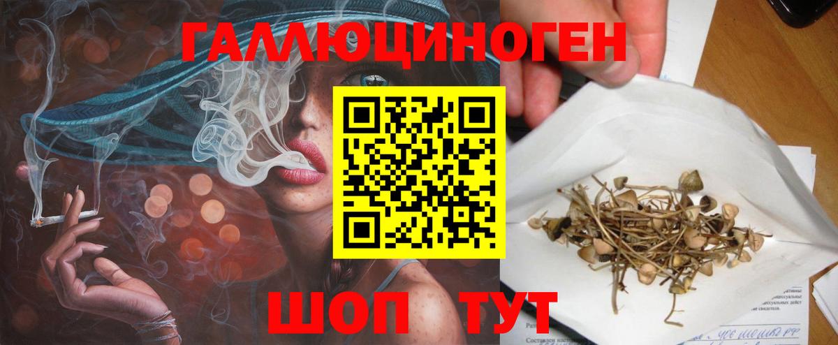 Набережные Челны  Галлюциногенные грибы Psilocybe  Вход с VPN 